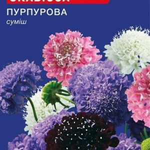 Насіння Скабiози пурпурової; (0.25г)