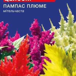 Насіння Целозiї Пампас Плюме (0.2г)